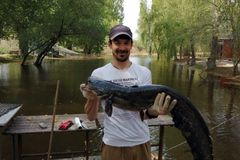 Рыбалка на Нижней Волге в 2020 году: Какая рыба лучше ловится в Астраханской области?